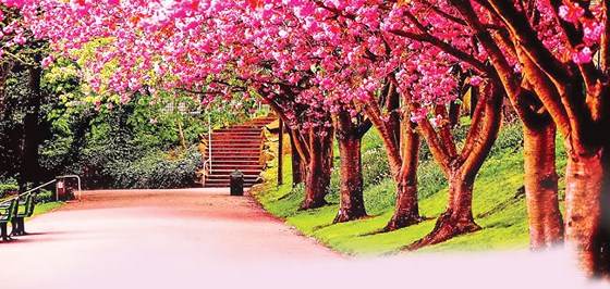 Thong dong từng bước chậm ảnh 1